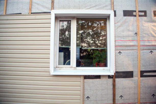 Affordable siding repair and maintenance services in Clio, AL