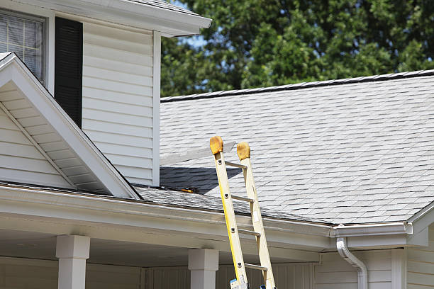 Best Steel Siding Installation  in Clio, AL