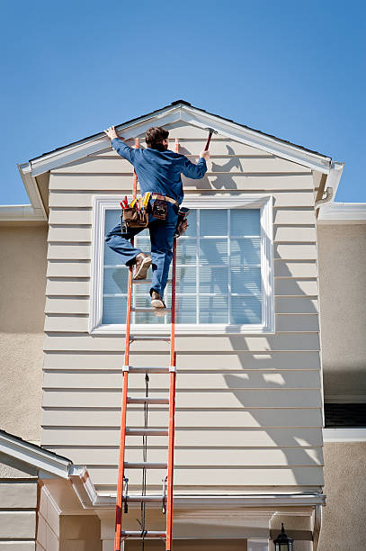 Best Custom Siding Design  in Clio, AL