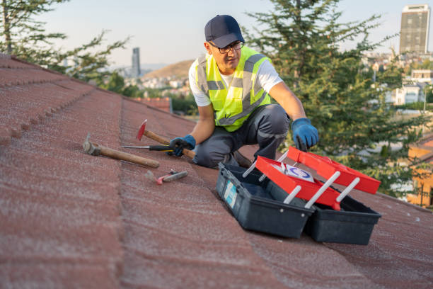 Best Fascia and Soffit Installation  in Clio, AL