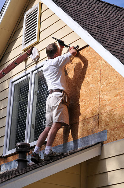 Siding Removal and Disposal in Clio, AL